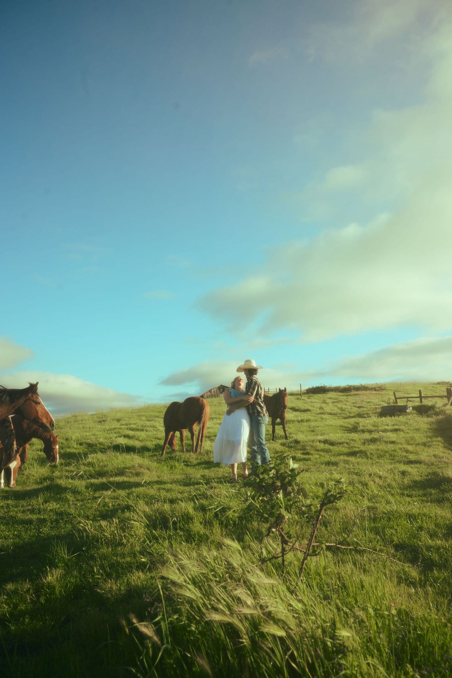 Man in a cowboy hat and woman walking among brown horses on pasture land during their engagement session